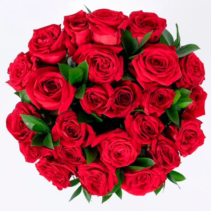 Bouquet of 24 Red Roses