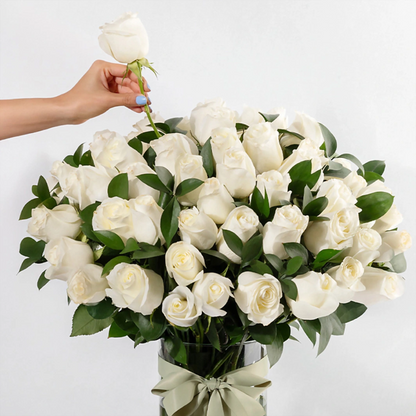 50 White Roses in a Vase