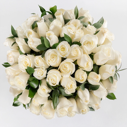 50 White Roses in a Vase